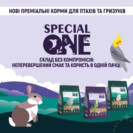 ������� �����